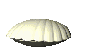 Mouth